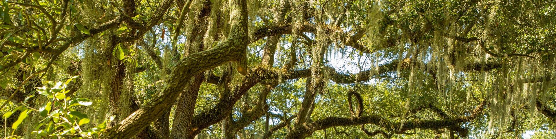 City Park which includes a park