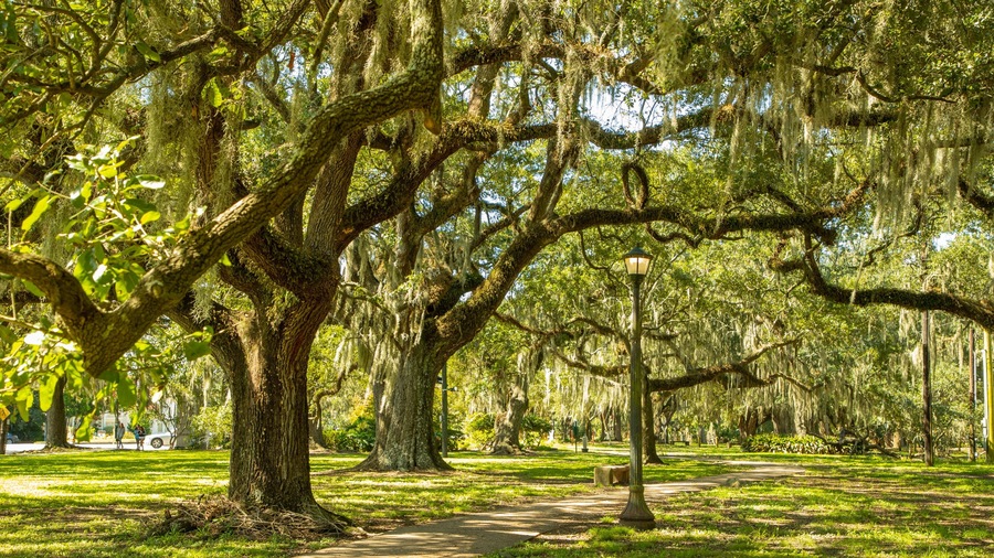 City Park which includes a park