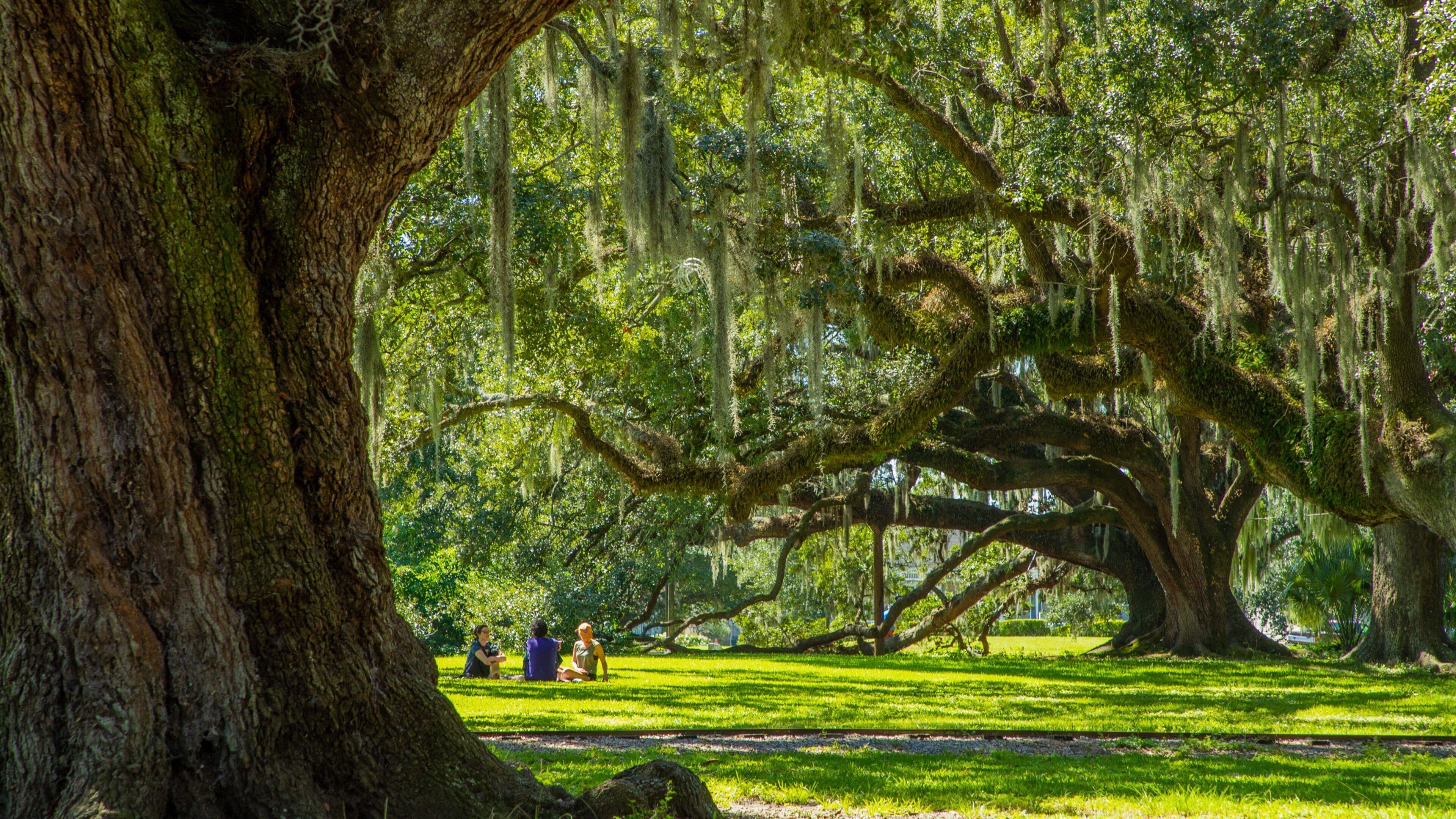 City Park which includes a park and picnicing as well as a small group of people