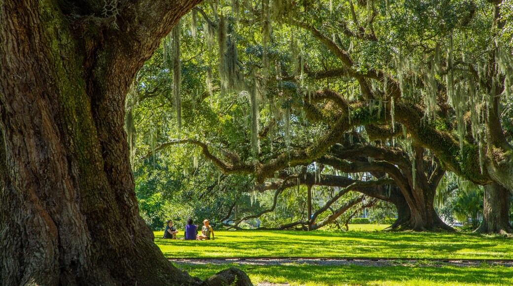 City Park which includes a park and picnicing as well as a small group of people