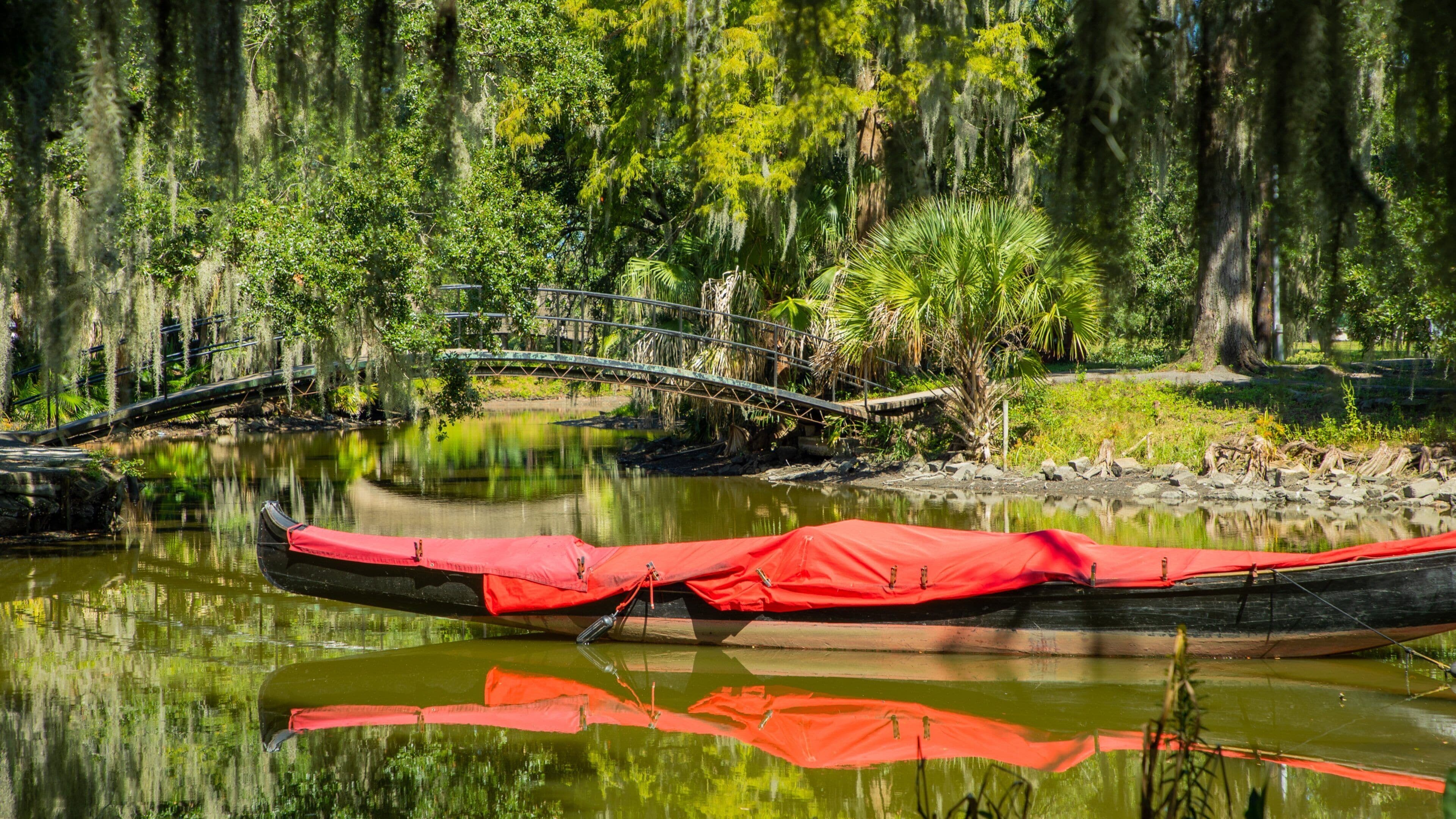 City Park featuring a bridge, a pond and a park