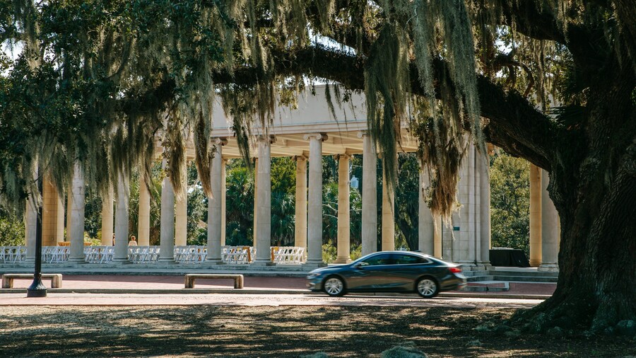 City Park showing a garden and heritage elements