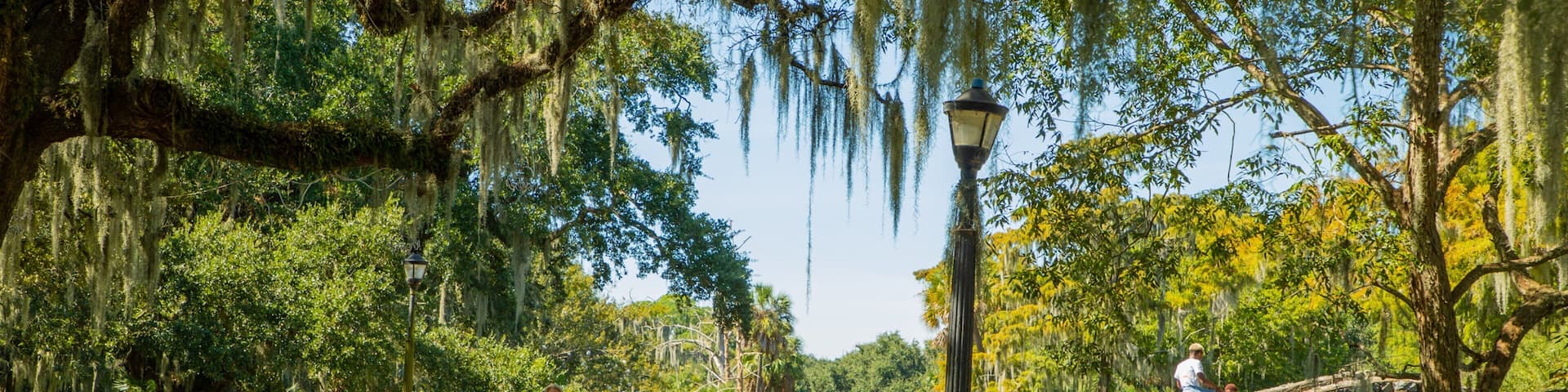 A park with a walking path, trees with Spanish moss, a stone bridge, and a lamp post.