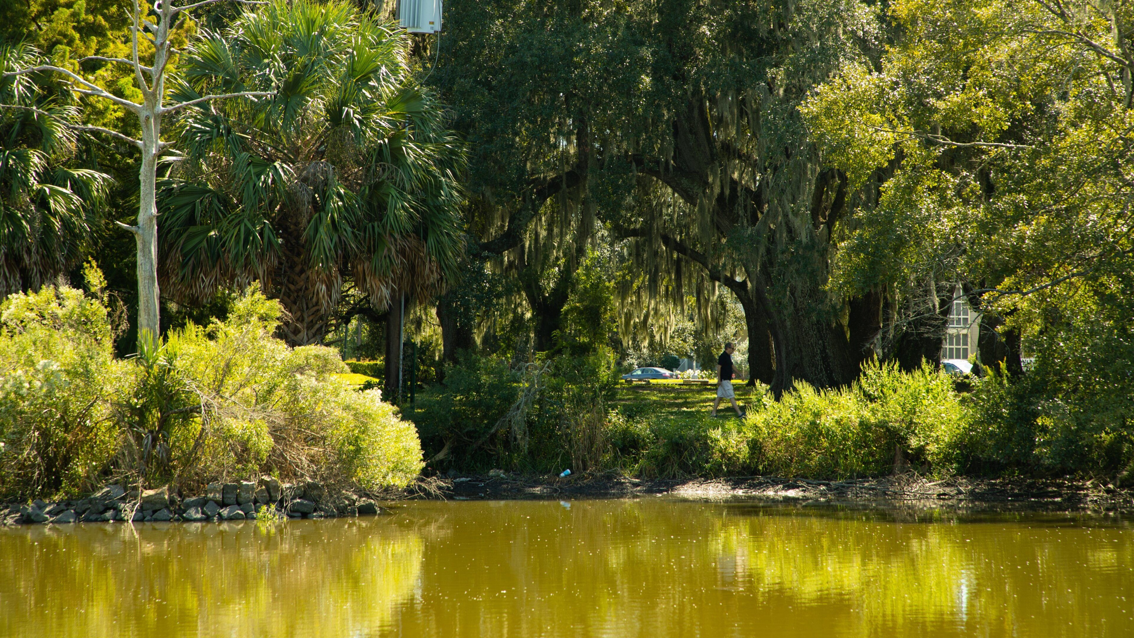City Park which includes a pond and a park