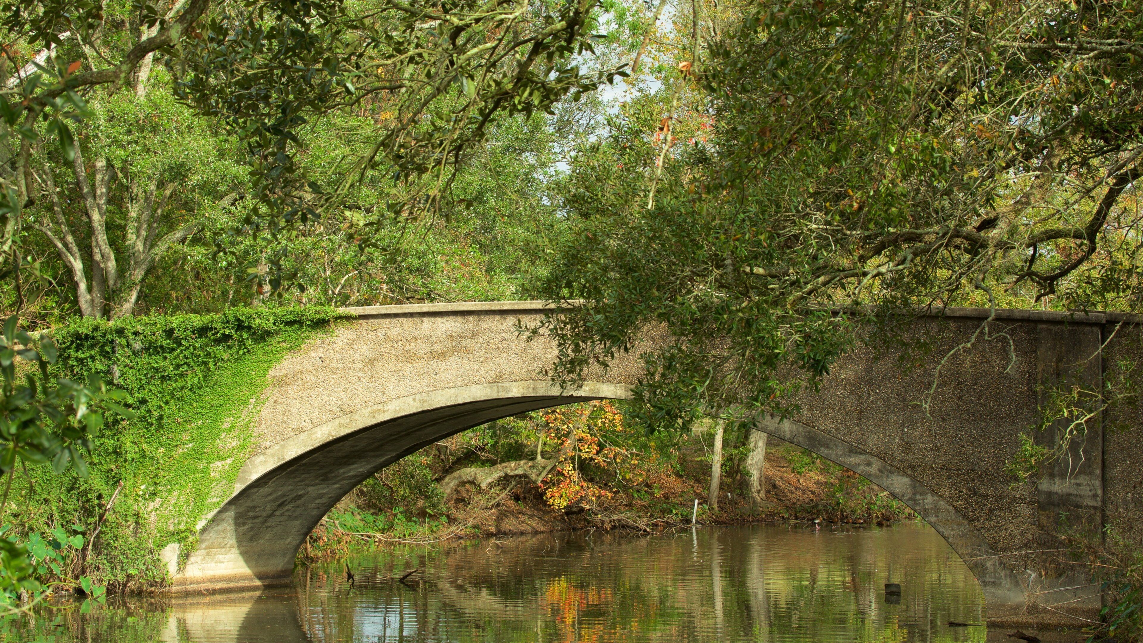 Audubon Park og byder på en bro og en flod eller et vandløb