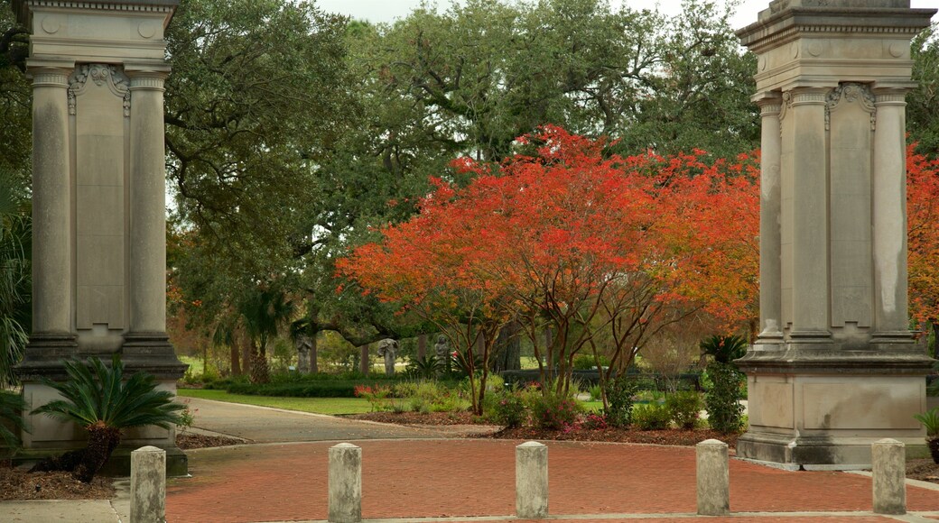 Audubon Park which includes autumn leaves and a park