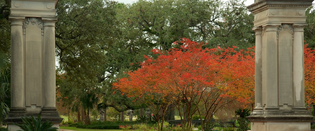 Audubon Park som visar höstfärger och en trädgård