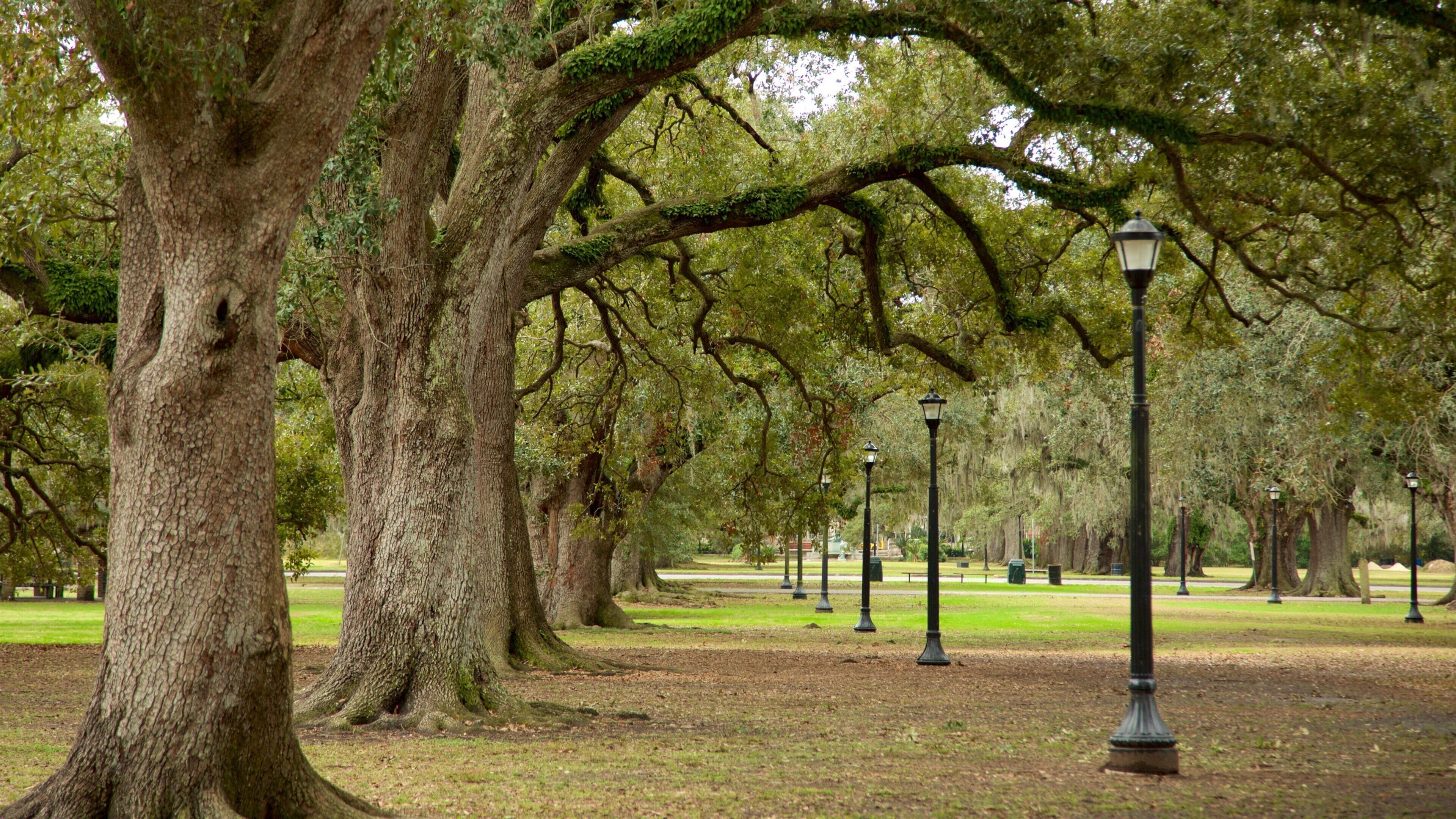 Audubon Park showing a garden