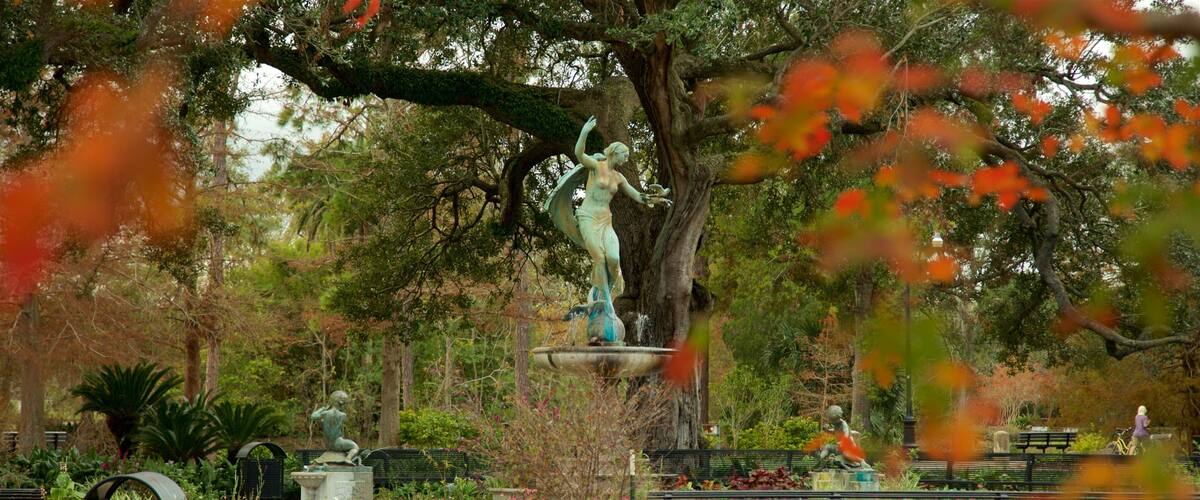 Audubon Park inclusief herfstbladeren, een fontein en een tuin
