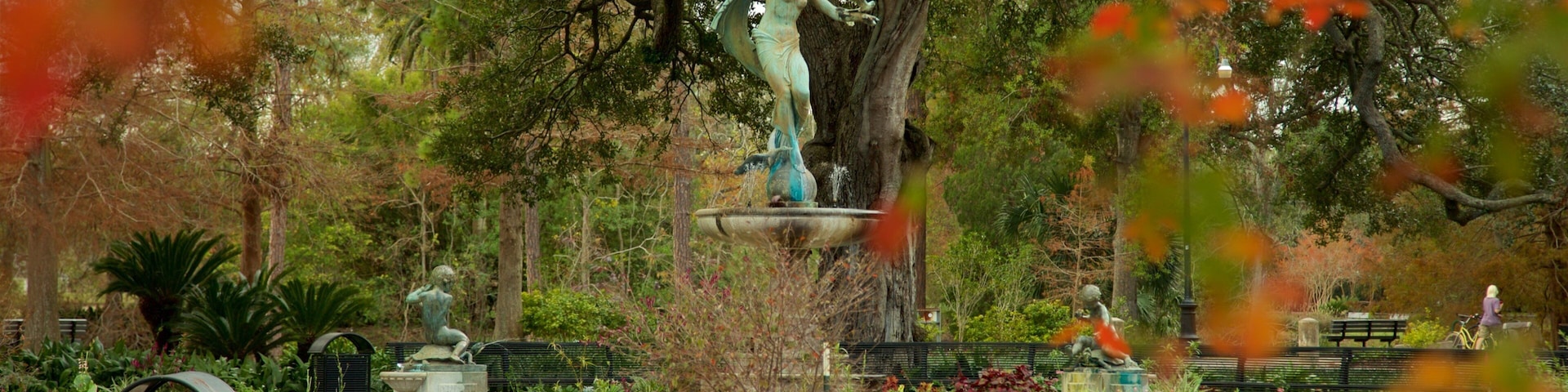 Audubon Park showing a fountain, fall colors and a park