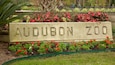 A stone sign with "AUDUBON ZOO" engraved, surrounded by red flowers and greenery.
