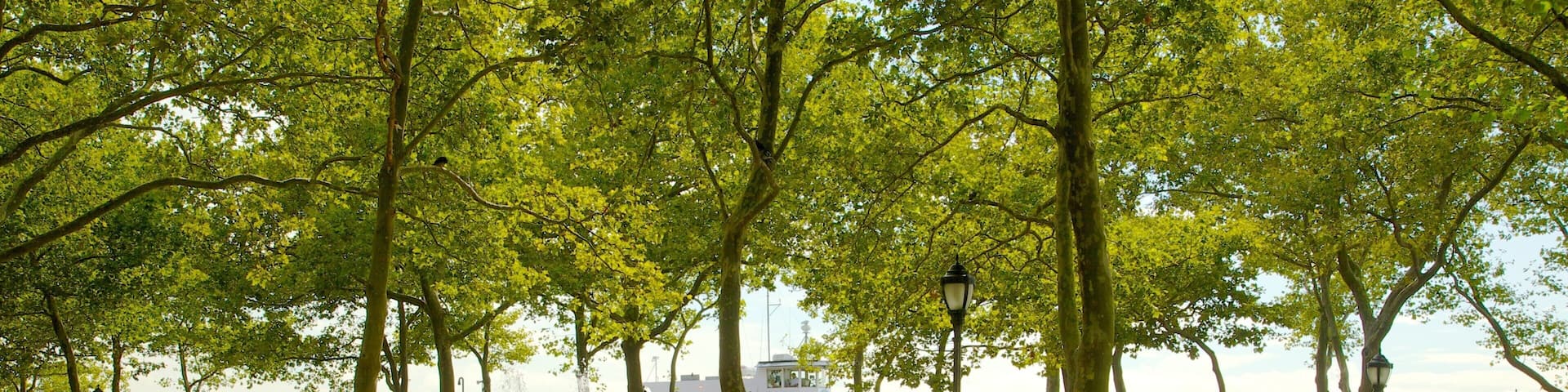 Battery Park qui includes croisière, jardin et fontaine