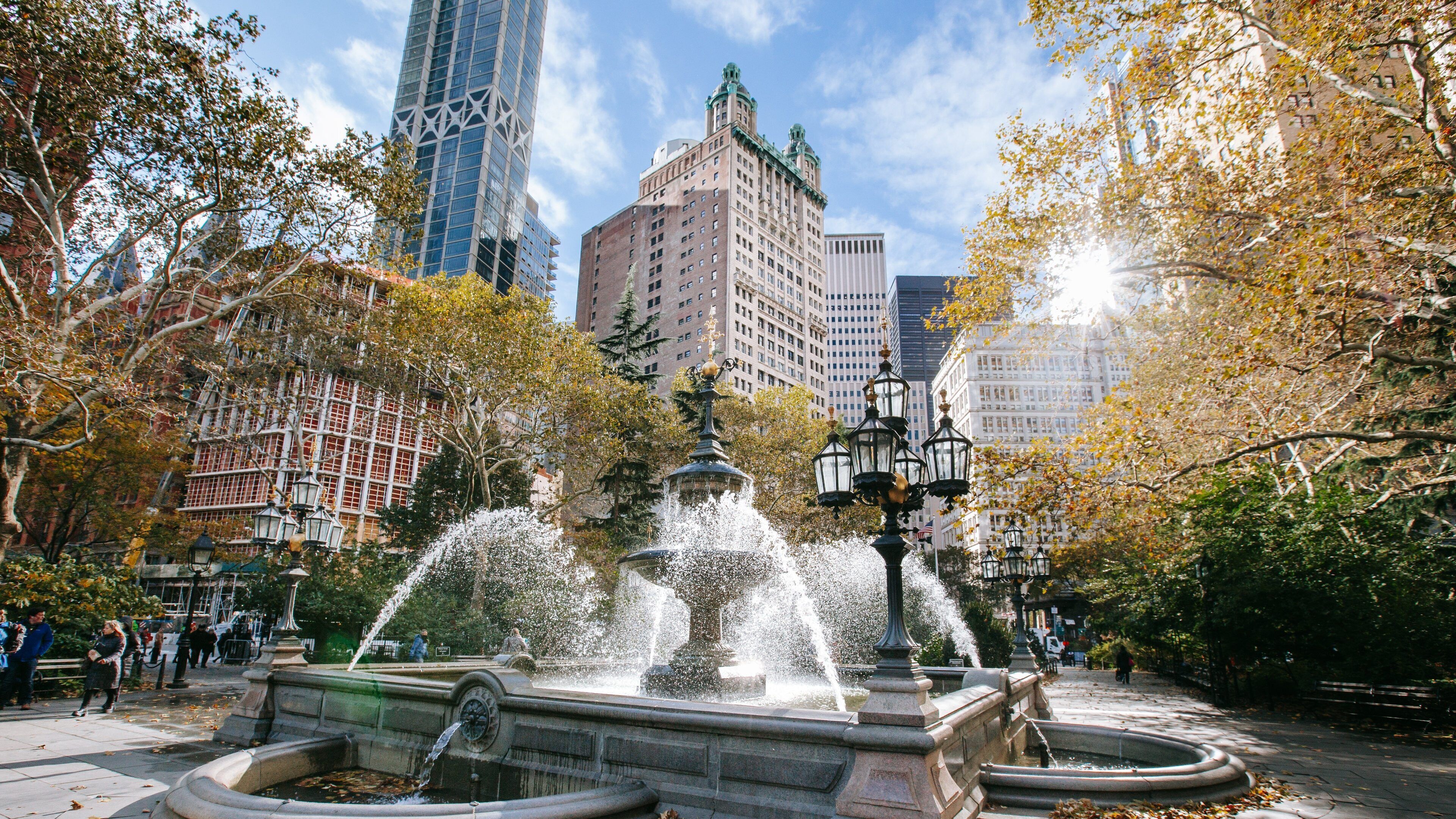 City Hall Park showing a city, a sunset and a fountain