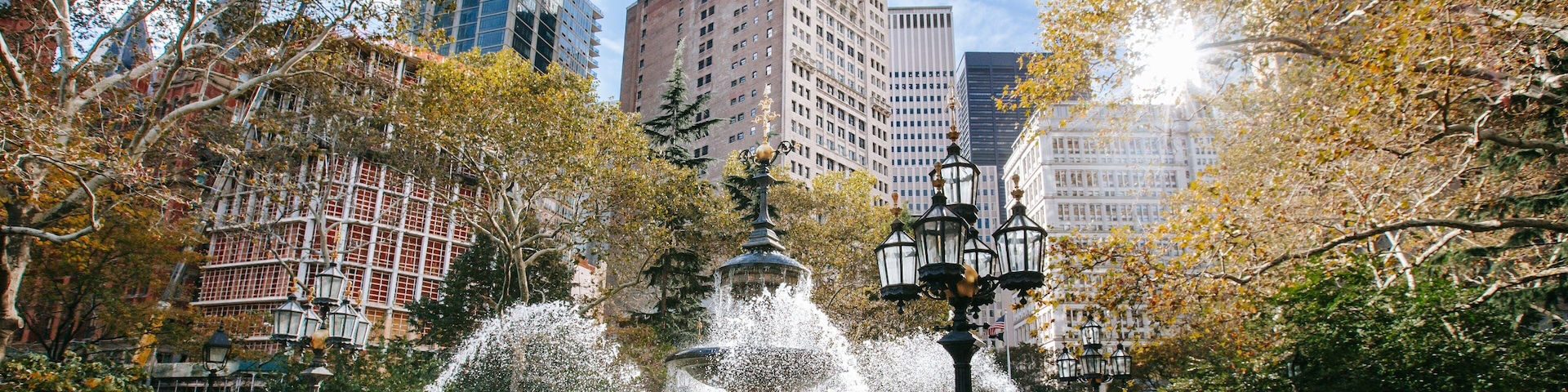 City Hall Park showing a city, a sunset and a fountain