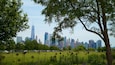 A park with a city skyline in the background.