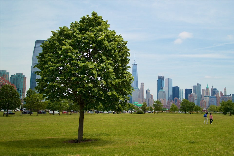 A park with a large tree and a city skyline in the background.
