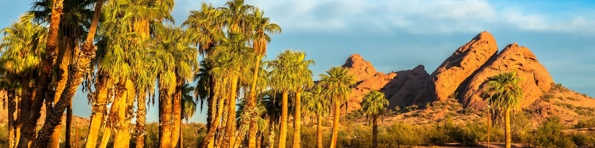 Palm Trees and Water Reflection at an Oasis Surrounded by Desert and Mountains in Papago Park, Phoenix, Arizona, United States