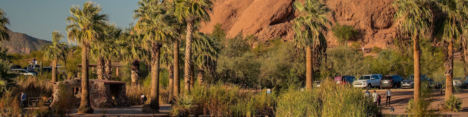 A rocky hill with palm trees and a body of water.