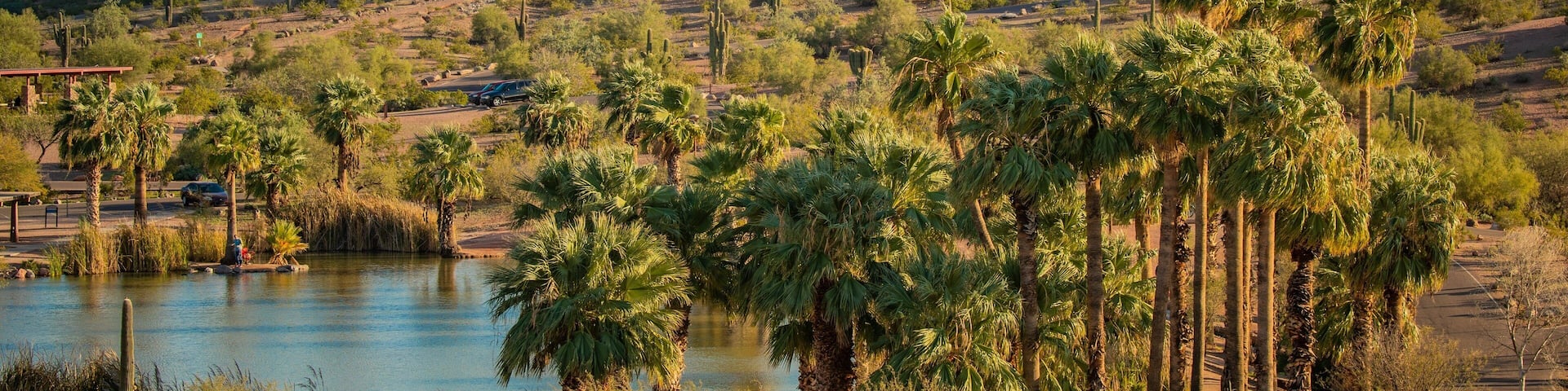 A desert landscape with a body of water, palm trees, and rocky formations.