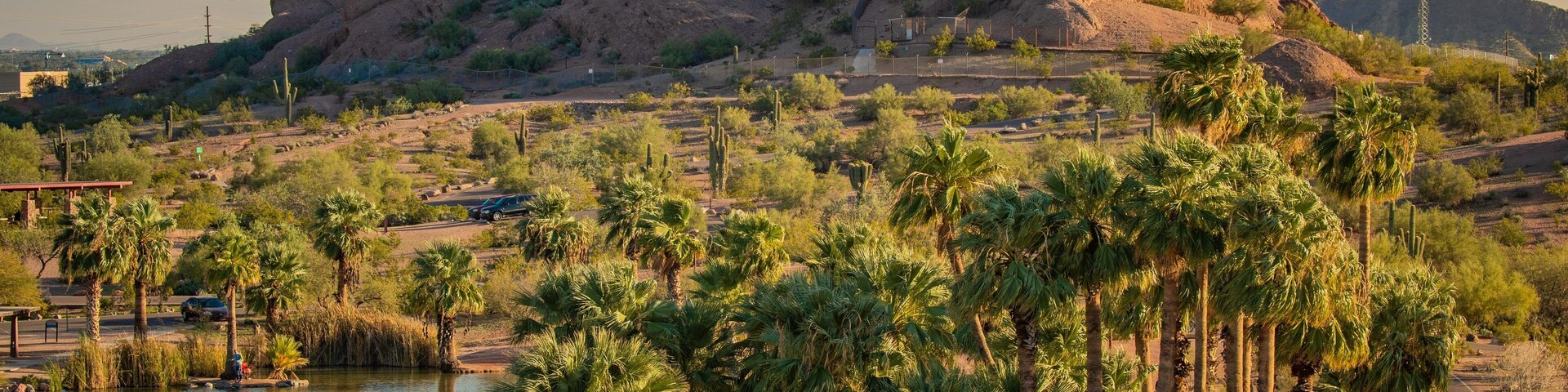 Paisaje desértico con un cuerpo de agua, palmeras y formaciones rocosas.
