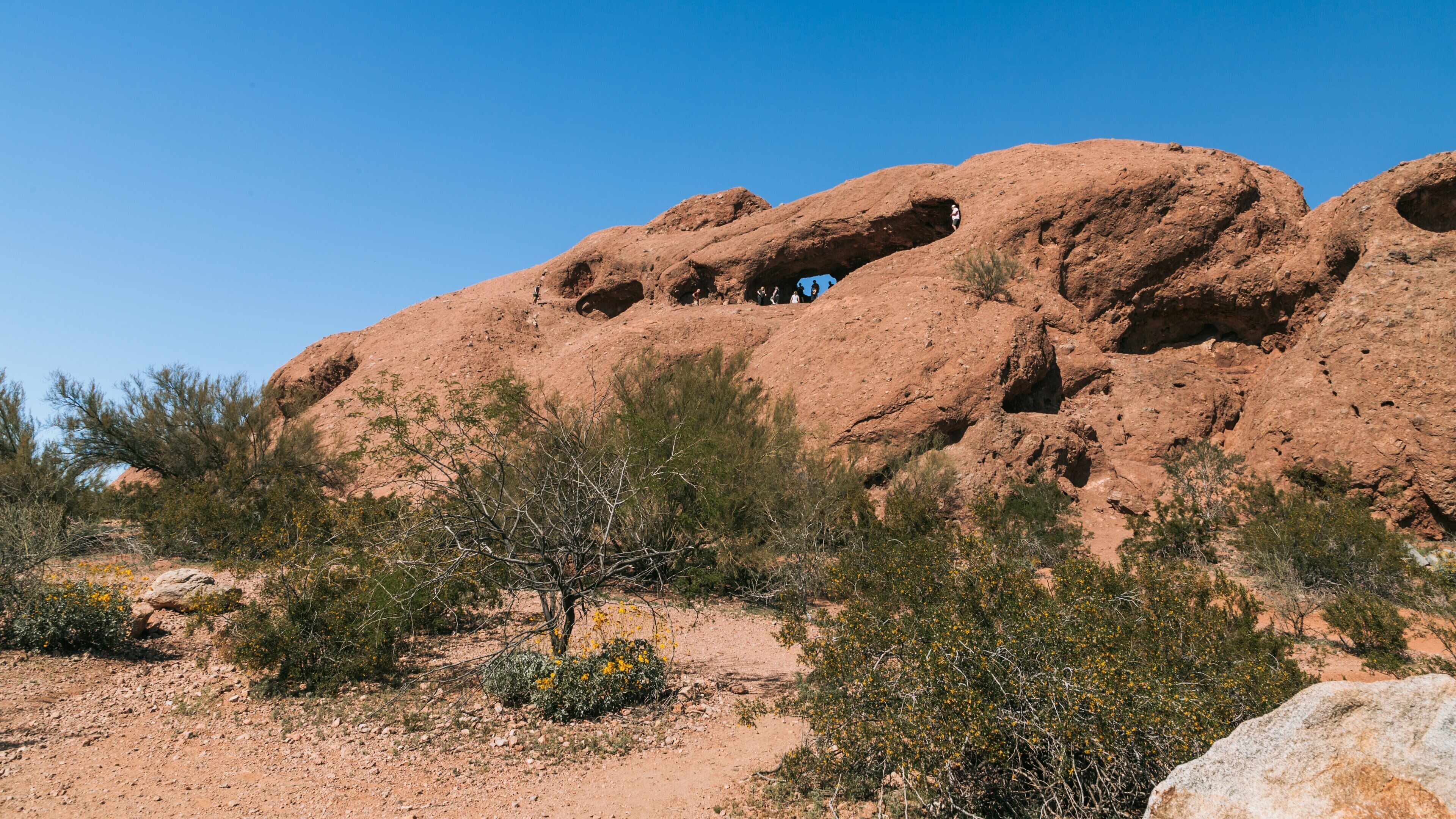 Papago Park featuring desert views