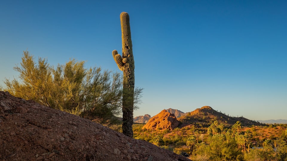 Papago Park showing desert views