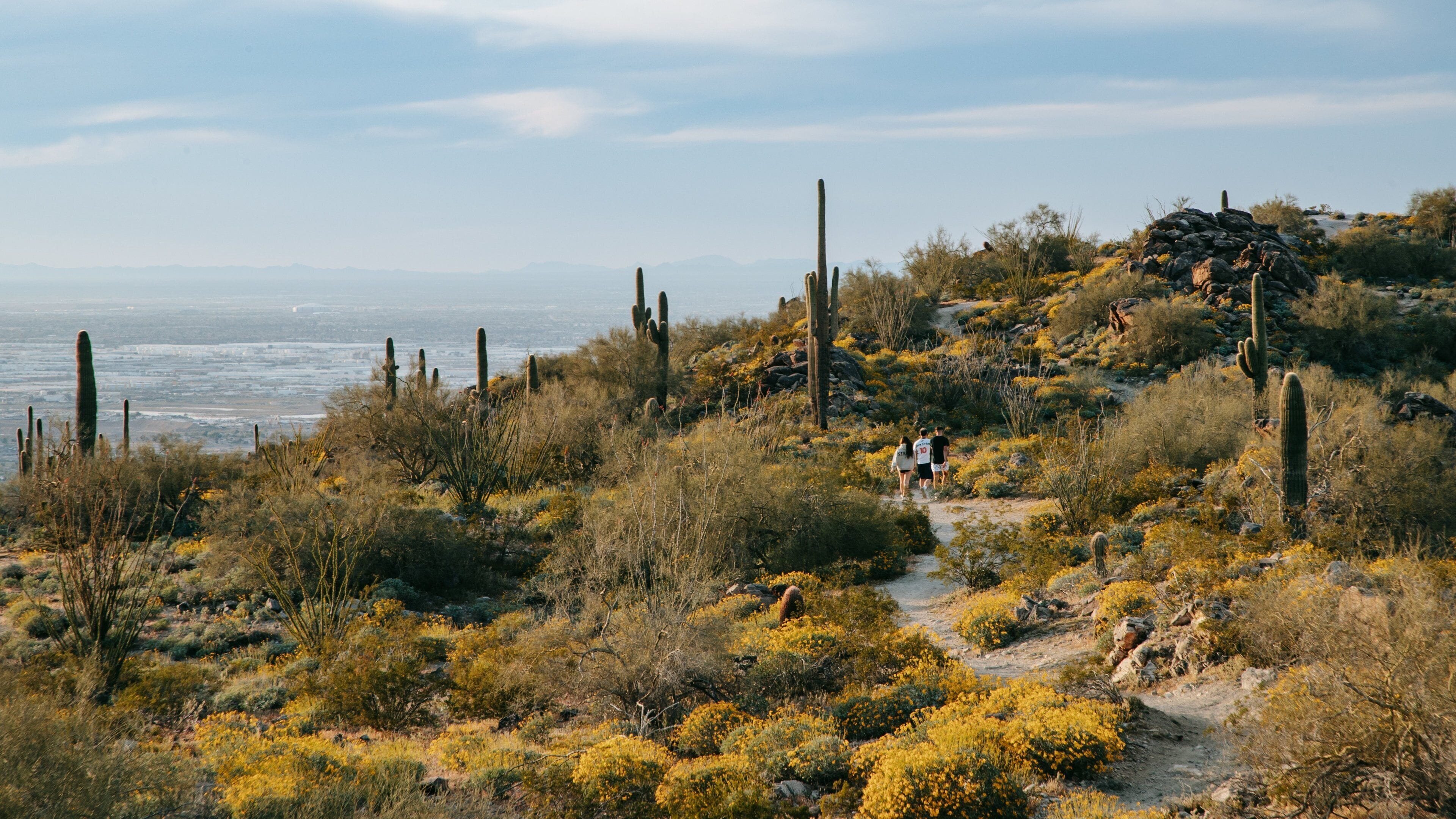 South Mountain Park showing desert views and landscape views as well as a small group of people