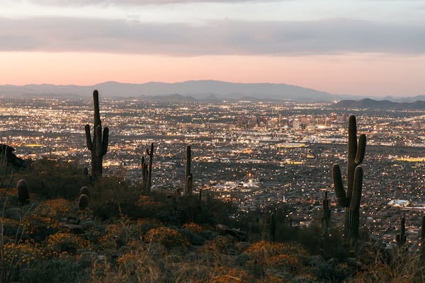 A desert landscape with cacti and a cityscape in the background.