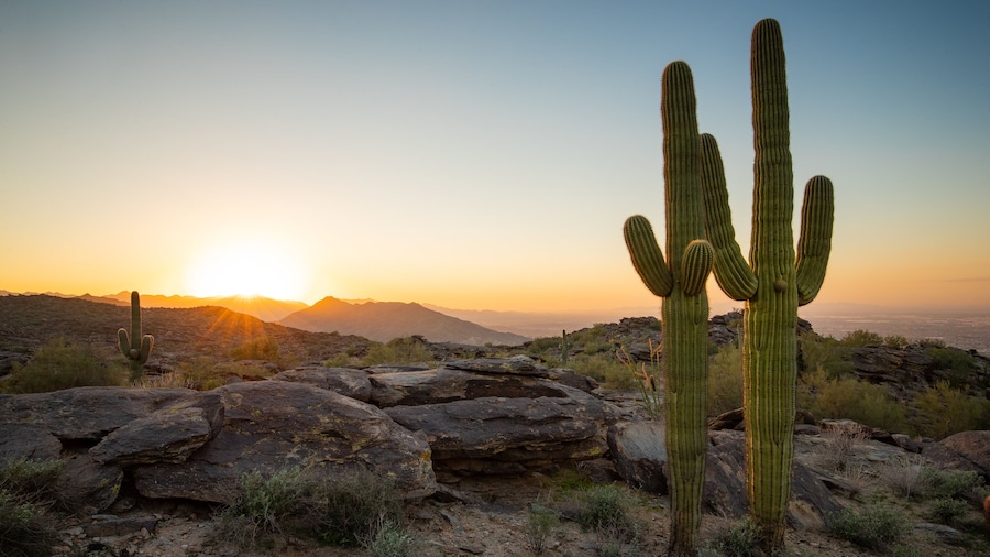 South Mountain Park