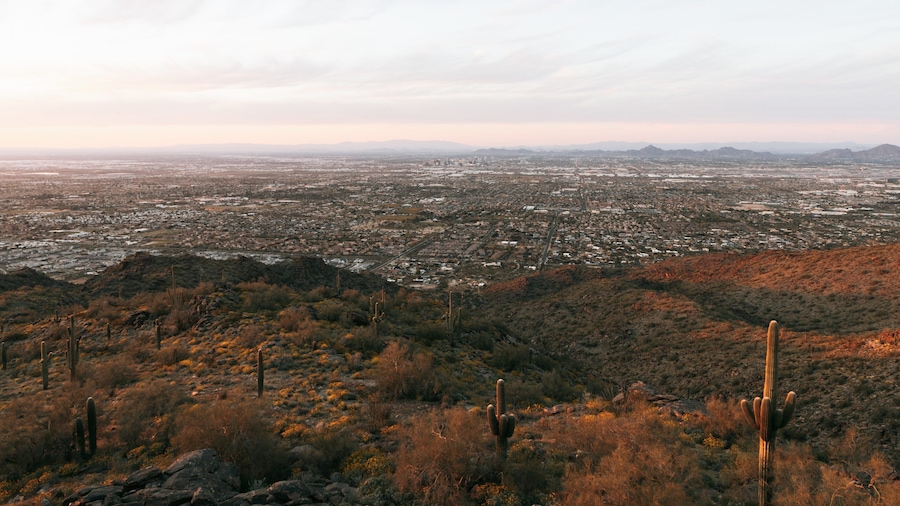 A desert landscape with cacti and a distant cityscape.