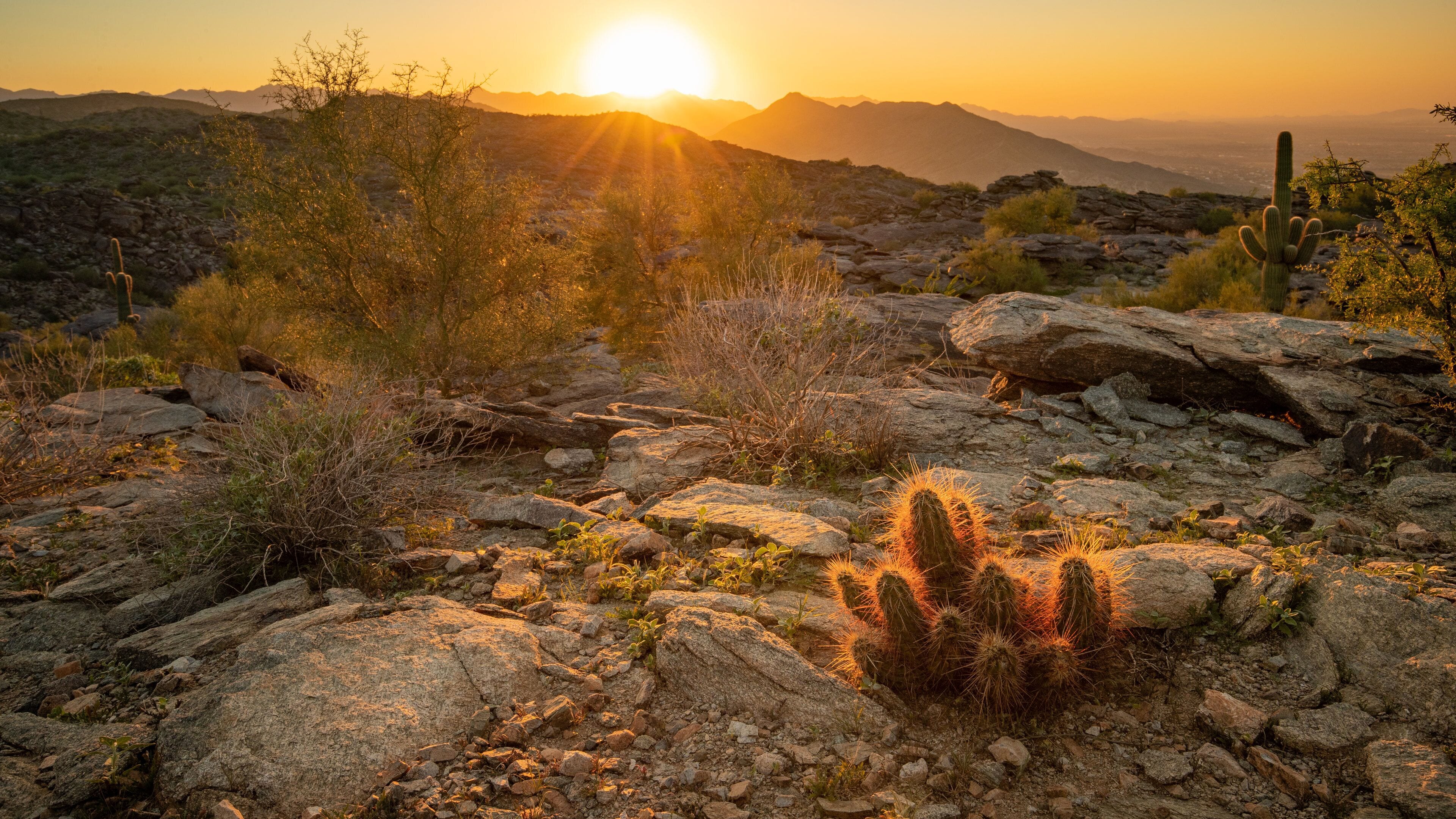 South Mountain Park featuring desert views and a sunset