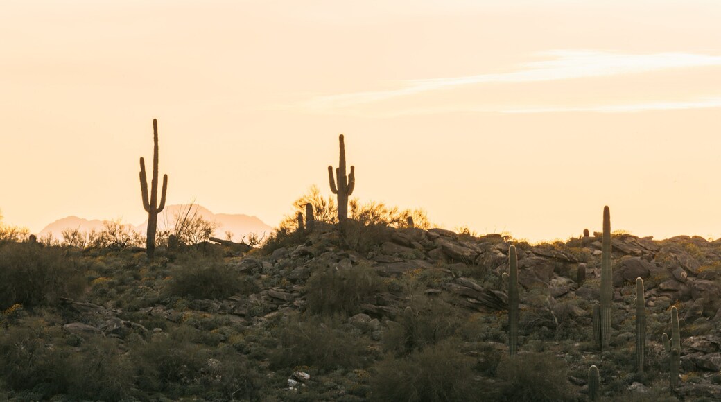 South Mountain Park which includes landscape views, a sunset and desert views