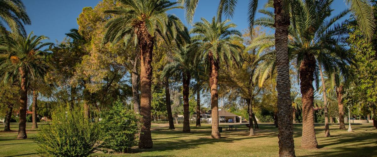 Encanto Park which includes a garden