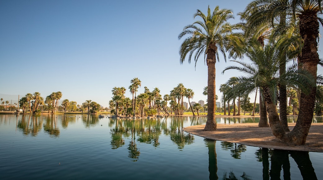 Encanto Park which includes a lake or waterhole