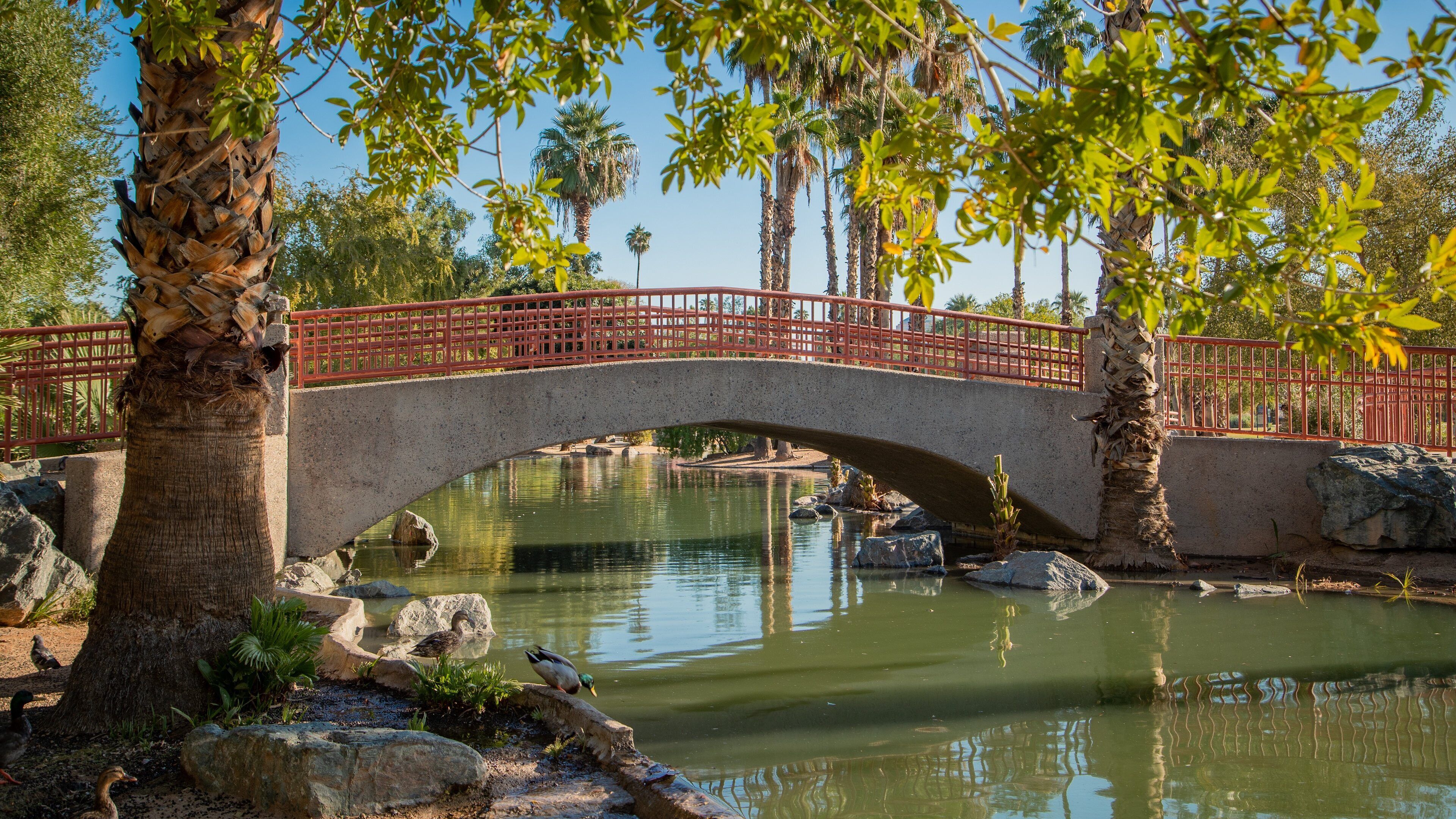 Encanto Park which includes a river or creek and a bridge