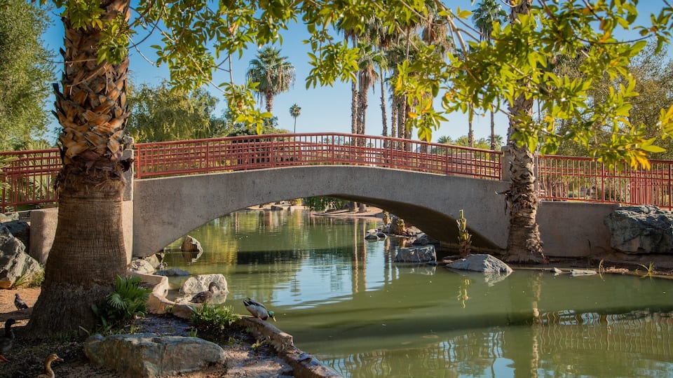Encanto Park which includes a river or creek and a bridge