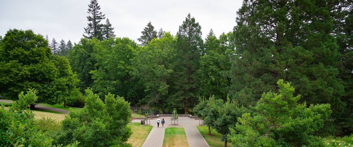 Washington Park featuring a garden