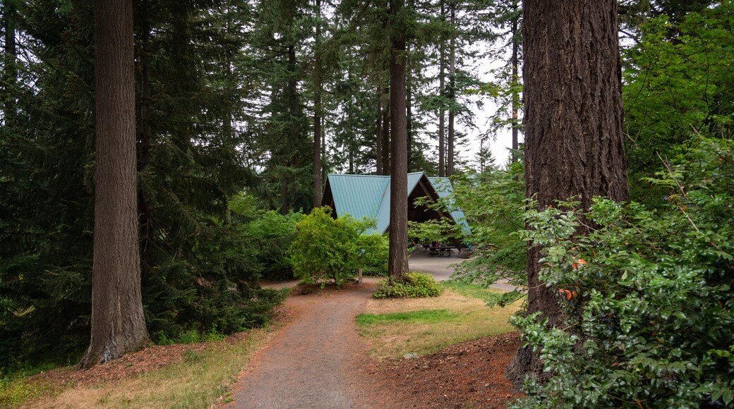 Washington Park which includes forest scenes