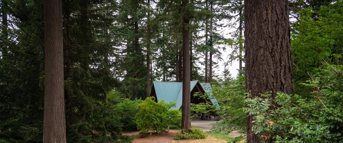 Washington Park which includes forest scenes