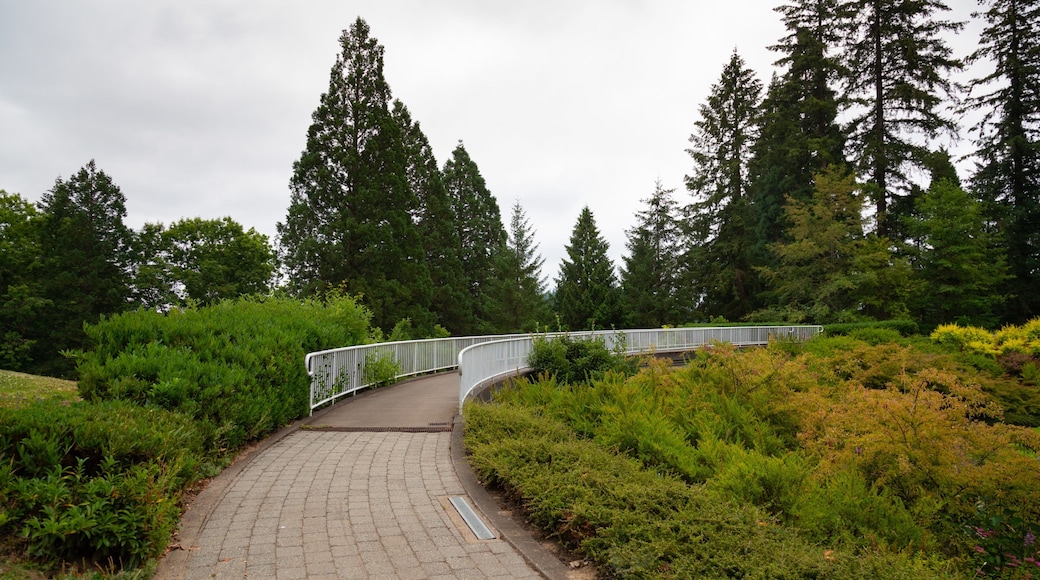 Washington Park featuring a park