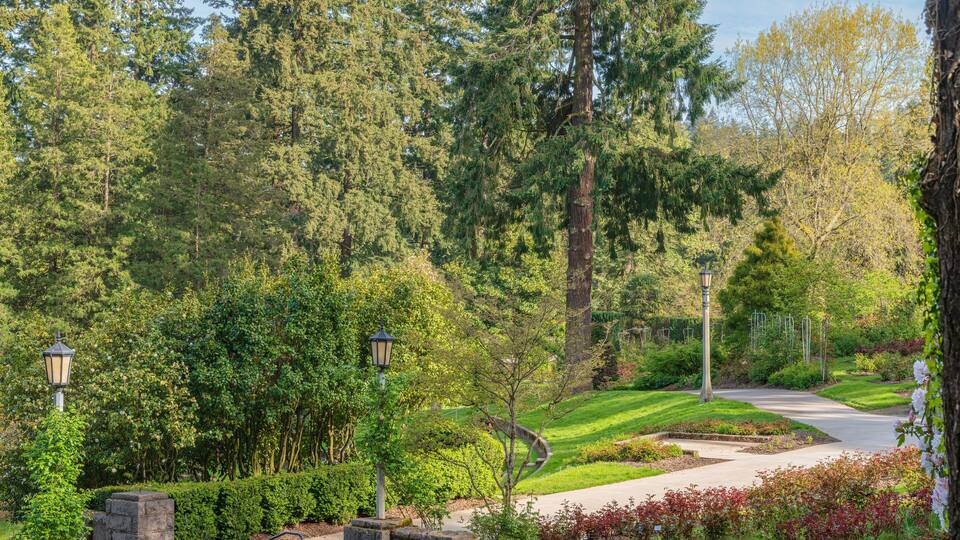 A park with a winding path, stone benches, and lamp posts.