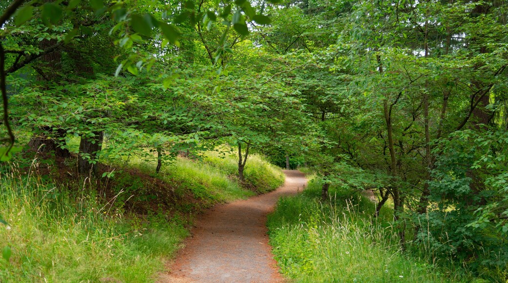 Washington Park which includes a park