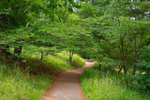 Washington Park which includes a park