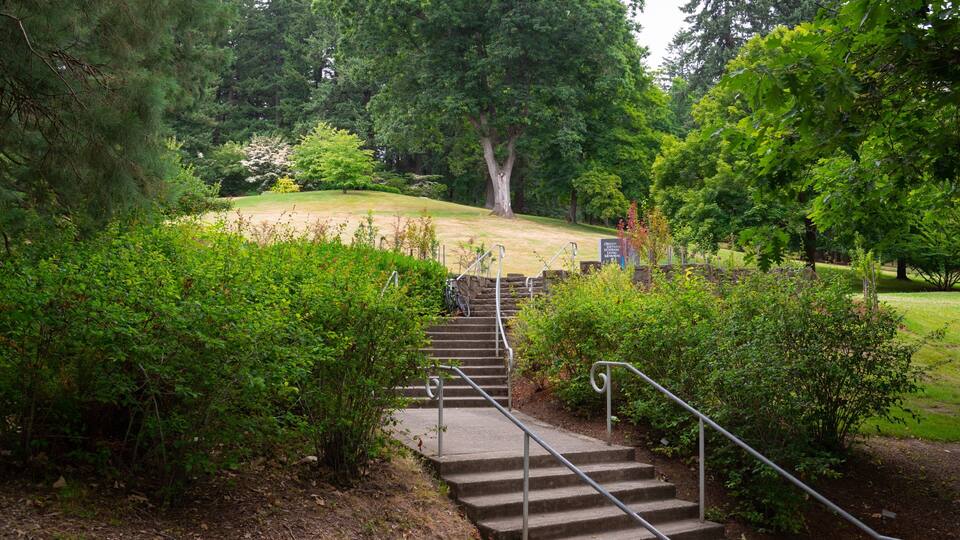 A park with a concrete staircase leading up to a grassy hill.