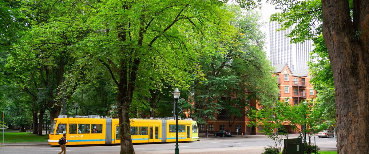 South Park Blocks showing a park