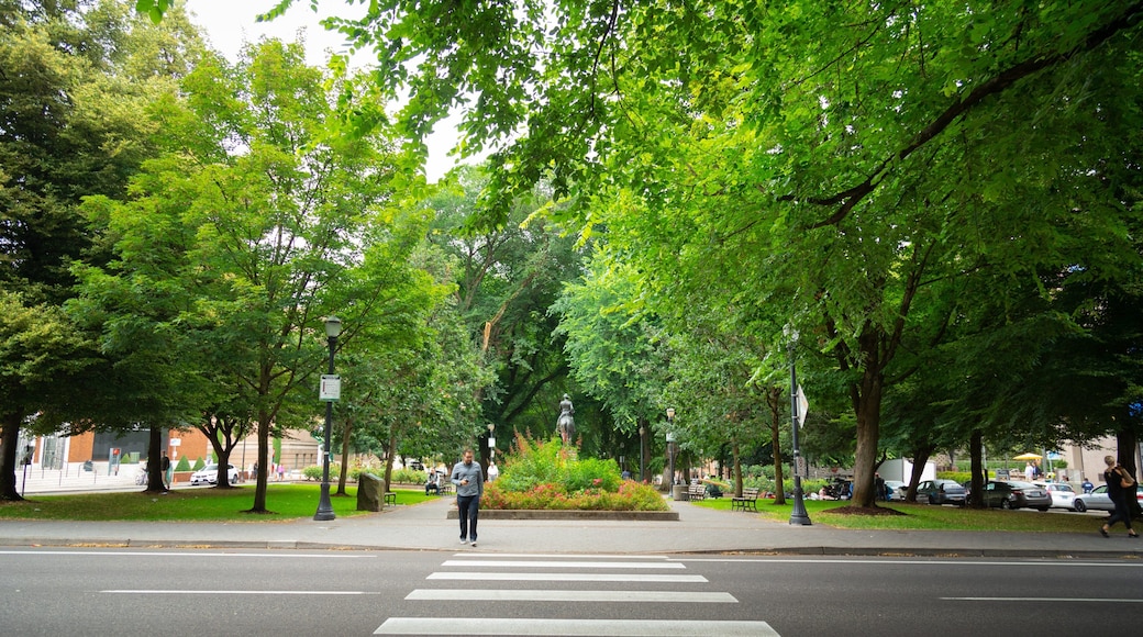 South Park Blocks which includes a garden