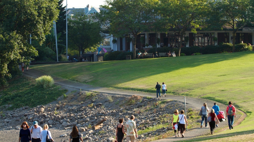 Tom McCall Waterfront Park showing landscape views and a park
