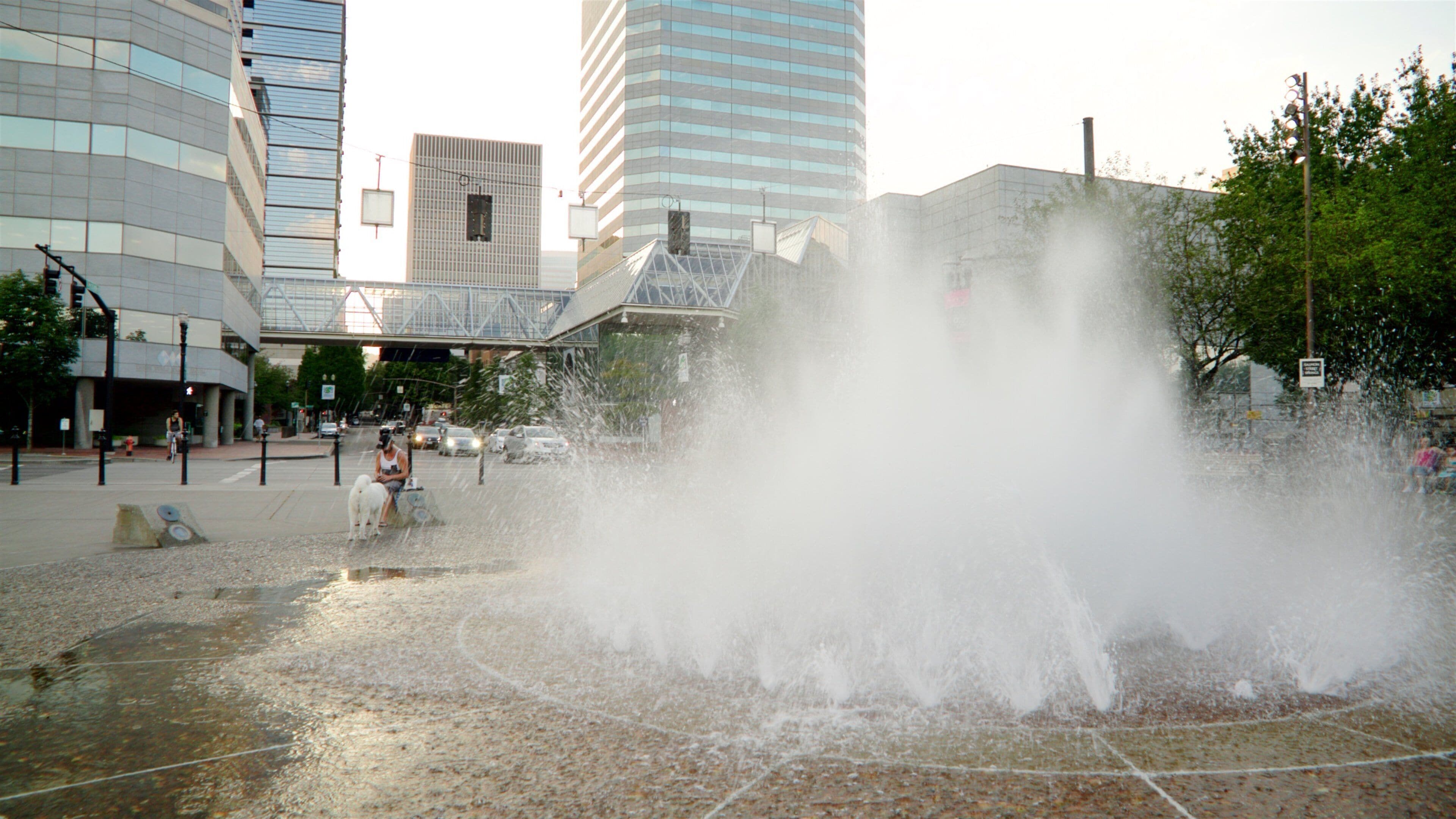 Tom McCall Waterfront Park which includes a fountain and a city
