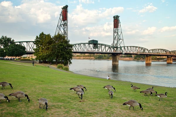 Tom McCall Waterfront Park which includes a river or creek, a garden and a bridge
