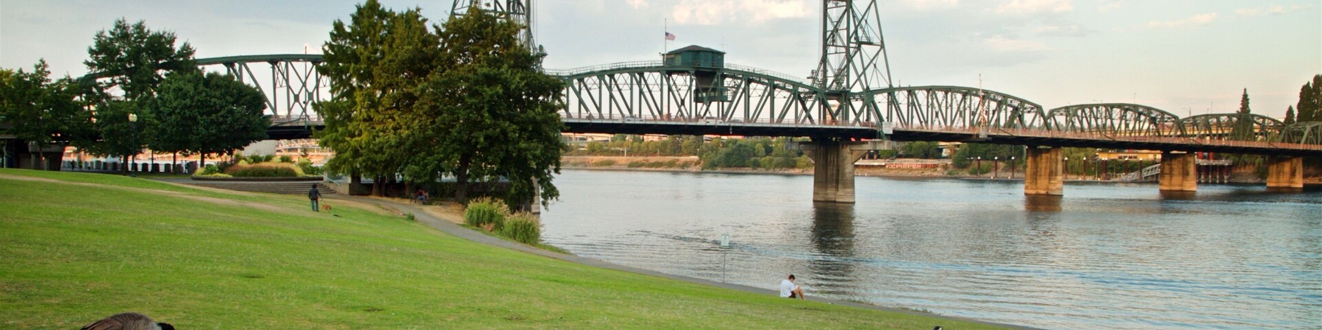 Tom McCall Waterfront Park caracterizando um rio ou córrego, uma ponte e vida das aves
